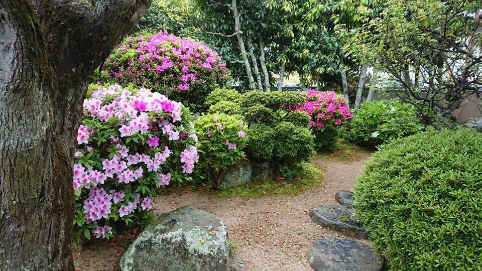Setonejuan Otel Takamatsu Dış mekan fotoğraf